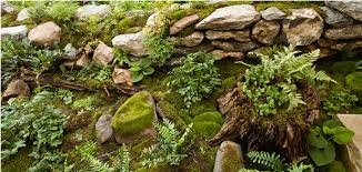moss garden